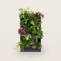 PlantBox