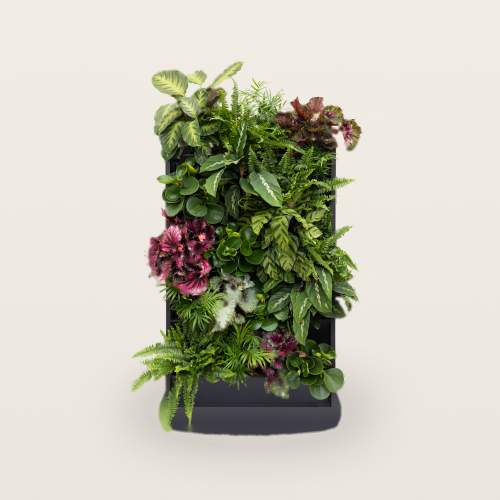 PlantBox und Pakete