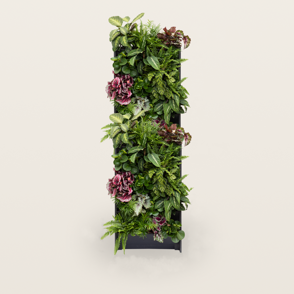 PlantBox – Vertikaler Garten | 10 Module