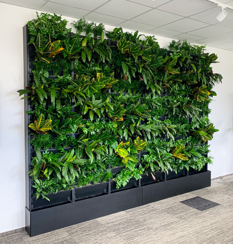 PlantBox – Vertikaler Garten | 1 Modul