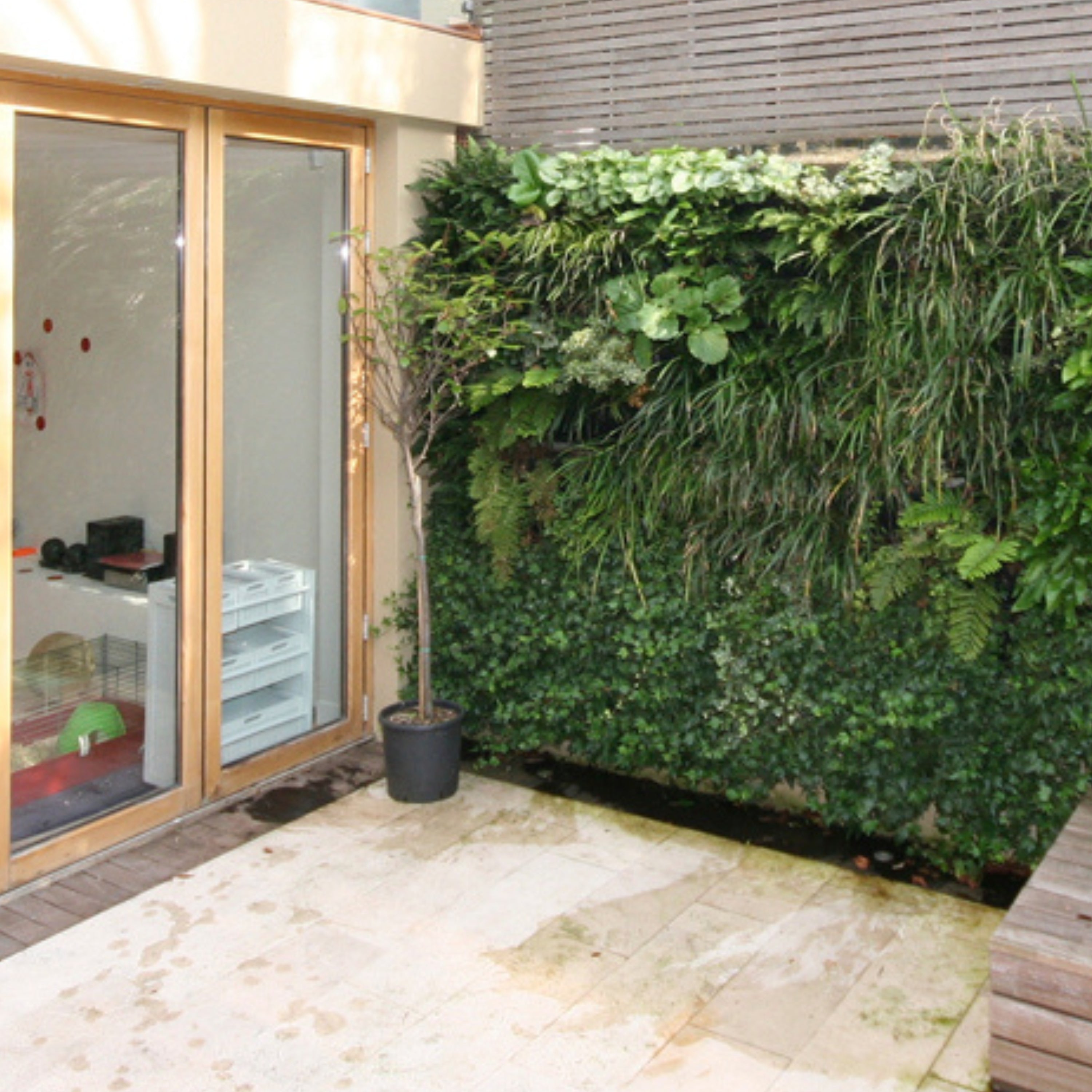 PlantBox - Lebende Wand 10 Module
