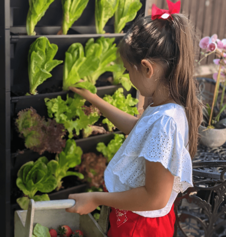 PlantBox – Vertikaler Garten | 1 Modul