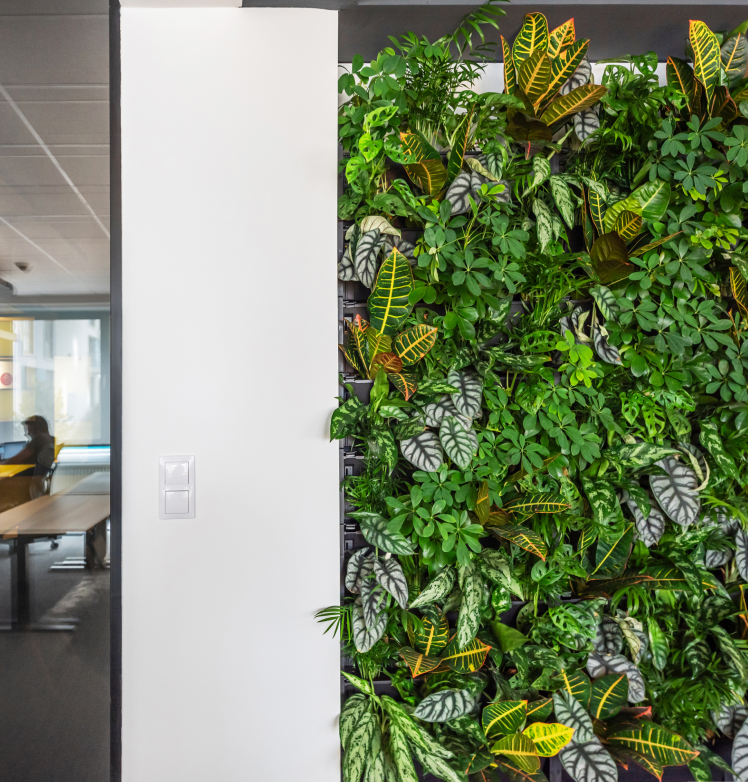 PlantBox – Vertikaler Garten | 1 Modul
