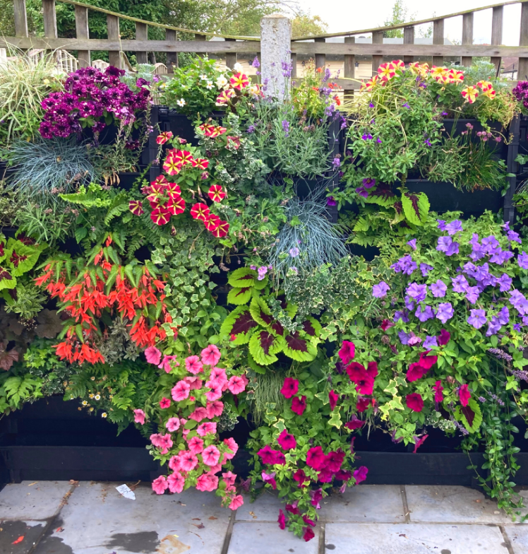 PlantBox – Vertikaler Garten | 1 Modul