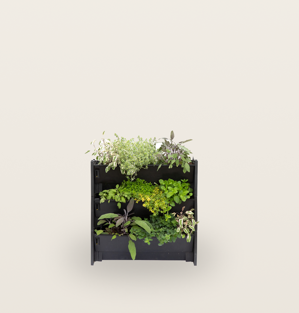 PlantBox – Vertikaler Garten | 1 Modul