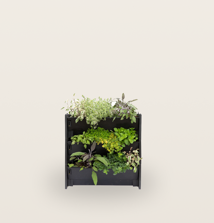 PlantBox – Vertikaler Garten | 1 Modul