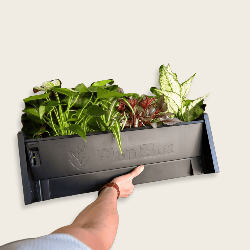 PlantBox – Vertikaler Garten | 1 Modul