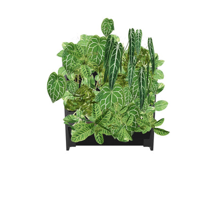 PlantBox – Vertikaler Garten | 1 Modul