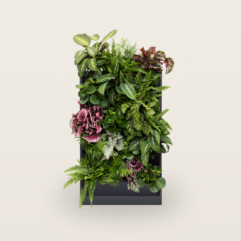 PlantBox – Vertikaler Garten | 5 Module