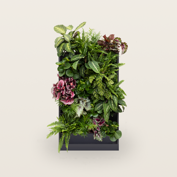 PlantBox – Vertikaler Garten | 5 Module