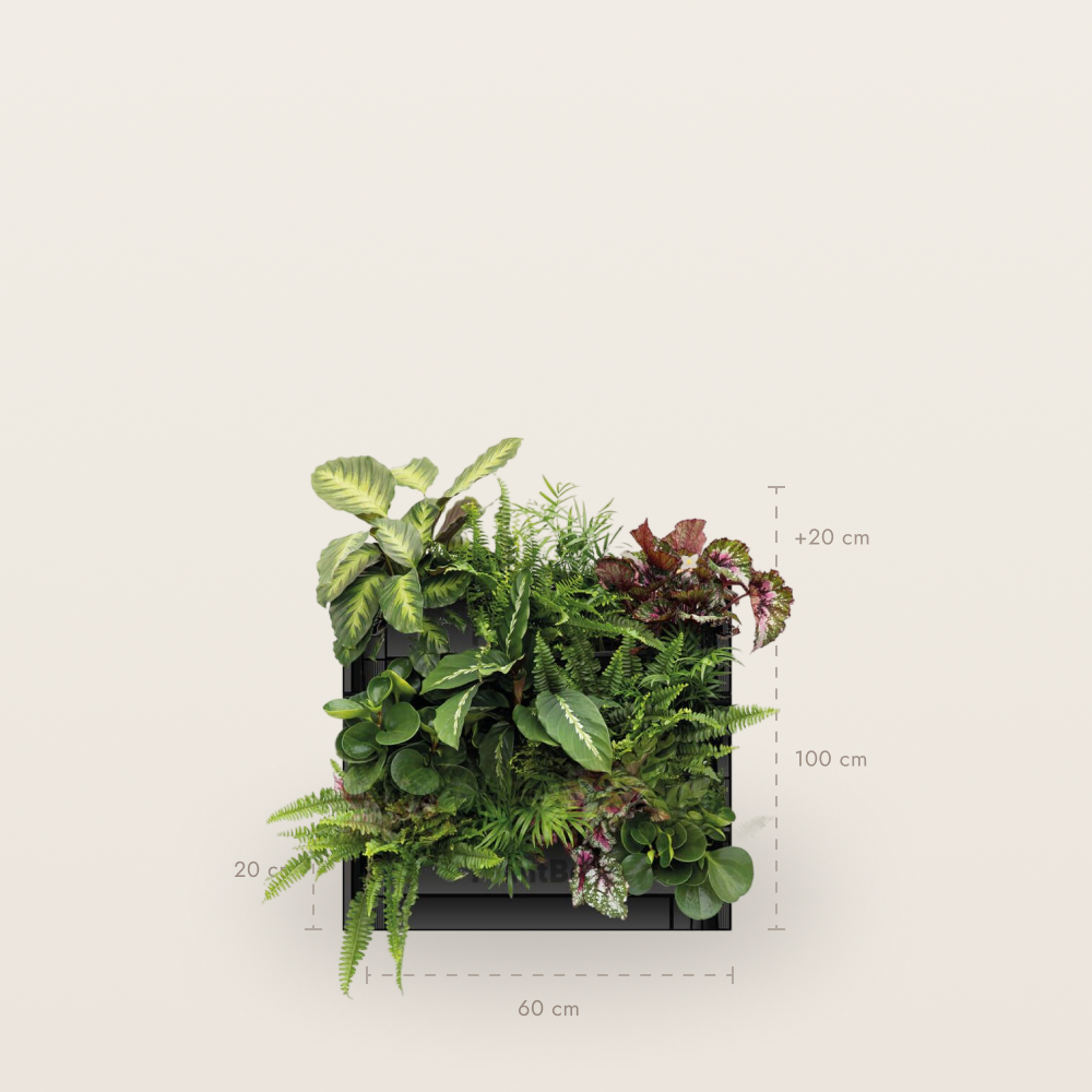 PlantBox installation