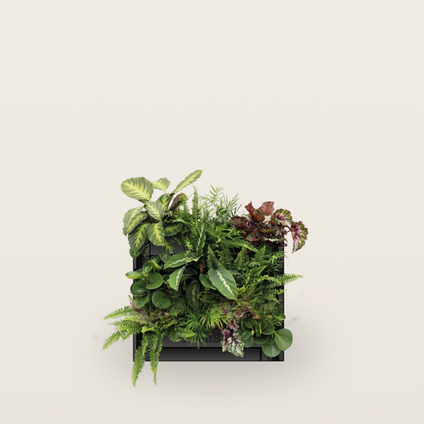 PlantBox – Vertikaler Garten | 3 Module